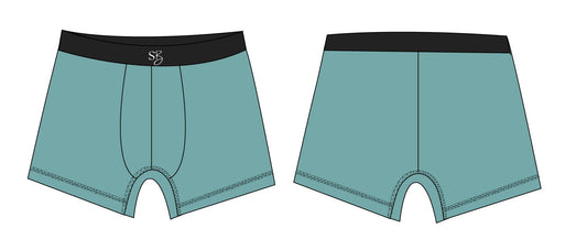 Boxer Brief: Teal Blue